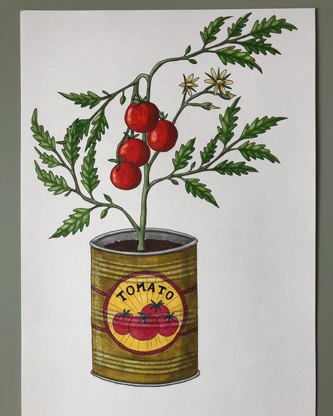 Canned tomato plant 🍅 Illustration for @hortusamsterdam For a coming Hortus Amsterdam exposition…' Tomato Plant Illustration, Tomato Tattoo, Tomato Drawing, Eco Farm, Plant Doodle, Tomato Plant, Plant Tattoo, Arm Sleeve Tattoos, Vintage Drawing