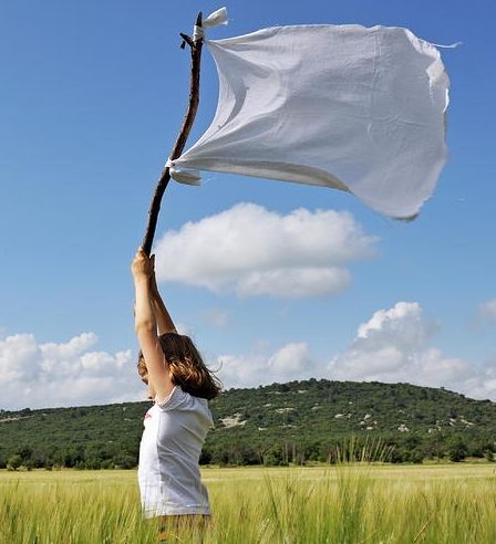 White Flag Surrender, Self Forgiveness, Music Animation, Easter Photoshoot, Walking With God, Parenting Resources, White Flag, Wheat Fields, Jesus Bible