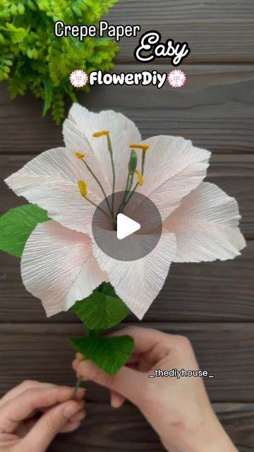 Crepe Paper Decorations, Crepe Paper Flowers Tutorial, Paper Flower Diy, Crepe Paper Flower, Paper Decorations Diy, Colored Tape, Crepe Paper Flowers, Flower Diy, Paper Flower Tutorial