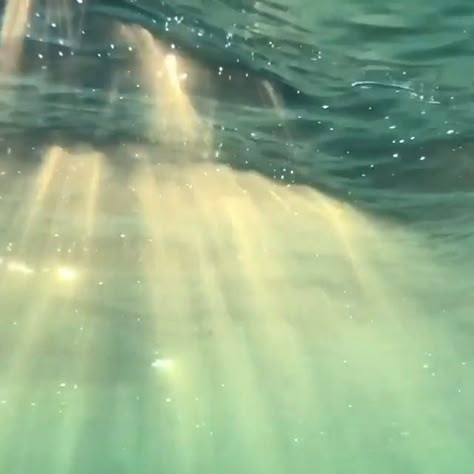 Ocean Lovers | Marine Life on Instagram: “There is something so tranquil about the sun’s rays shining through the surface of the ocean 🌊 Beautiful clip by @ryanpernofski 🎥🙌😍 🎶:…” Green Pastures, Water Aesthetic, Mermaid Aesthetic, Alam Yang Indah, Film Aesthetic, Nature Aesthetic, Pretty Places, Green Aesthetic, Aesthetic Videos