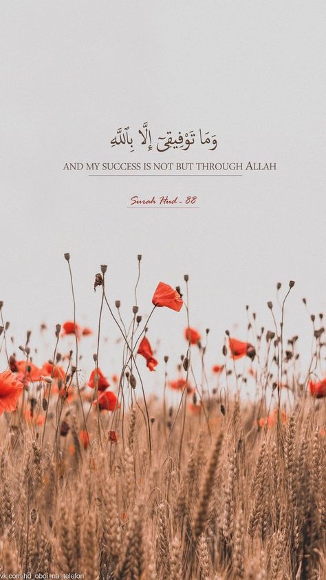 Quran Quotes In English, Quranic Quotes, Coran Quotes, Quran In English, One Word Instagram Captions, Quran Wallpaper, Quranic Verses, Quotes In English, Muhammad Quotes