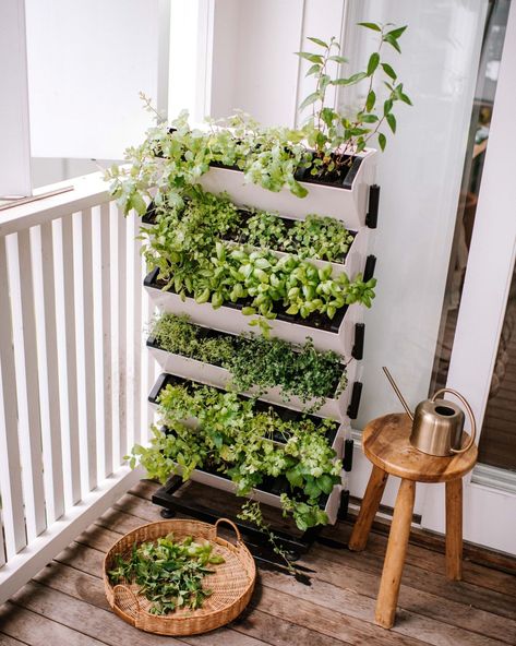 [Ad] 39 Most Pinned Vegetable Garden Design Recommendations To Try Out This Summer #vegetablegardendesign Balcony Herb Gardens, Small Balcony Garden, Vertical Herb Garden, Vertical Gardens, Garden Aesthetic, Home Vegetable Garden, Vegetable Garden Design, Apartment Garden, Balcony Design