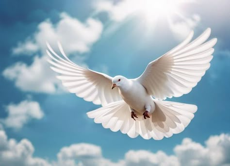 Photo flying white pigeon dove blue sky | Premium Photo #Freepik #photo Dove Flying Photography, Flying Dove, Doves Flying, Dove White, Flying Photography, Flying Pigeon, Dove Flying, White Pigeon, Dove Images