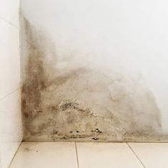 Once you've shut down the water source and electricity, you may be staring at puddles and wondering, "What now?" Now it's time to assess and do water damage repair—and do it quickly! Wet materials start developing very serious problems like mold after around 24 hours. You don't have time to wait. Water Damaged Ceiling, Ceiling Leak, Exposed Basement Ceiling, Basement Repair, Cavity Wall Insulation, Roof Problems, Pex Tubing, Water Damage Repair, House Repair