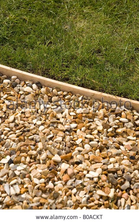 Garden Edging with wood | Gravel Path With Wooden Lawn Edging Stock Photo, Picture And Royalty ... Garden Timber Edging, Wood Landscape Edging Ideas, Wood Edging Landscape, Gravel Edging Ideas, Path Edging Ideas, Footpath Ideas, Timber Garden Edging, Landscape Timber Edging, Timber Edging