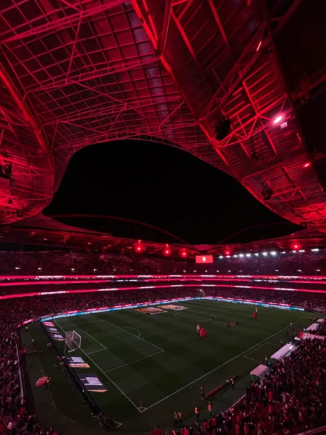 Benfica Aesthetic, Manchester Stadium, Benfica Wallpaper, Cricket Stadium, Fc Bayern Munich, Red Lights, Football Stadiums, Football Pictures, Football Wallpaper