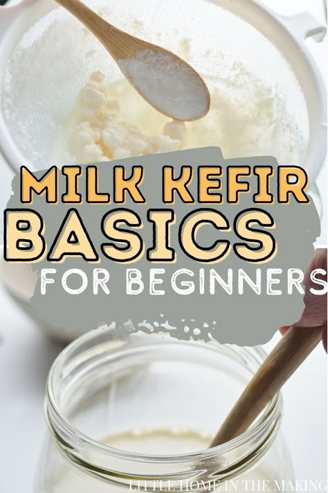 Milk Kefir Recipes, Kefir Milk, Milk Kefir Grains, Water Kefir Grains, Fermented Dairy, Kombucha Flavors, Fermented Milk, Kefir Recipes, Kefir Grains