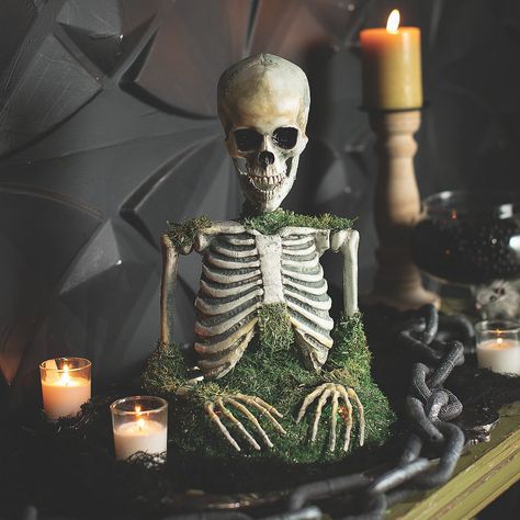 Invite shivers and smiles alike this Halloween with our enchanting Mossy Skeleton Tabletop Decoration, destined to be the undead life of your party! This cheeky skeleton, draped in the emerald mystery of moss, springs to life at the center of your spooky soiree. A bone-chilling addition to your Halloween party decorations, this animated companion promises an unforgettable mix of fright and delight. Place this tabletop decor among your haunting hors d'oeuvres selection or let it make a morbid statement amidst your eerie ambiance. Perfect for those who love their Halloween with a side of spine-tingling fun! Mossy Skeleton, House Room Design, Halloween Yard Props, Elegant Halloween Decor, Halloween Themes Decorations, Halloween Living Room, Halloween Decor Diy, Halloween Express, Elegant Halloween