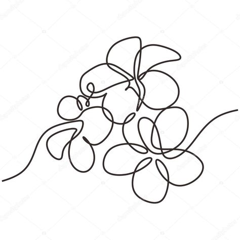 Plumeria flowers vector. One continuous line art drawing. Exotic tropical plant. Vector illustration isolated. Minimalist design handdrawn. Frangipani Tattoo, Continuous Line Art, Line Art Drawing, Flowers Vector, Plumeria Flowers, Plant Vector, Design Minimalist, Continuous Line, Vector Illustrations