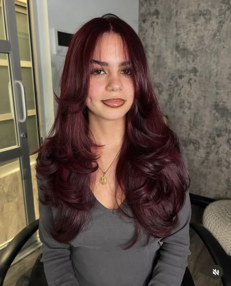 insta @karedoeshair Maroon Hair With Red Highlights, Black Red Balayage, Red Tinted Hair, Colored Hair For Brunettes, Autumn Red Hair, Hair Colour Trends, Deep Red Hair, Wine Hair Color, Maroon Hair