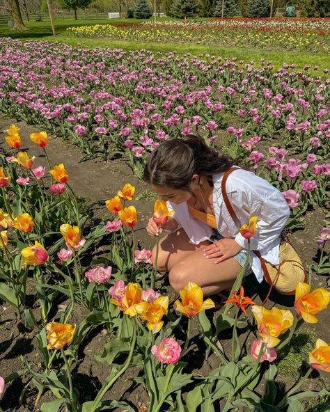 April Aesthetic Outfits, Simple Aethstetic, Tulip Girl Aesthetic, Bright Girl Aesthetic, Spring Core Aesthetic, Colorful Girl Aesthetic, Spring Girl Aesthetic, Sweet Girl Aesthetic, Lover Girl Aesthetic