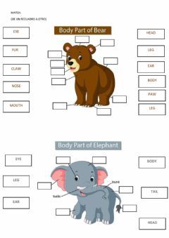 Parts of the body Language: English Grade/level: 2 School subject: English as a Second Language (ESL) Main content: Animals Body Parts Other contents: animals Animal Body Parts Worksheet, Animal Worksheets For Kids, Animals Worksheets For Kids, Body Parts Worksheet, Parts Of Animals, Animals Worksheet, Animal Body Parts, Art Activities For Toddlers, English Activities For Kids