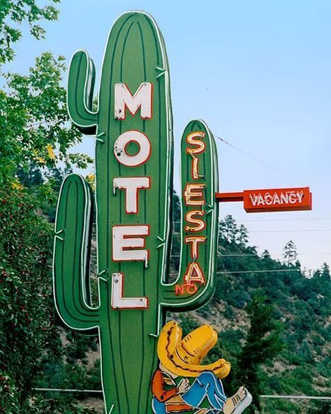 siesta motel sign  #motelsign #roadsidestop #neonsign #Oldsign #cactussign Old Neon Signs, Roadside Signs, Motel Signs, Motel Sign, Retro Signage, Vintage Motel, Retro Signs, Vintage Signage, Cool Signs