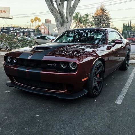 Mustang Dodge Challenger, Hellcat Srt, Cars Mustang, Challenger Hellcat, Dodge Challenger Hellcat, Challenger Srt Hellcat, Dodge Challenger Srt Hellcat, Dodge Muscle Cars, Hellcat Challenger