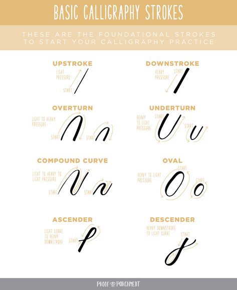 Create a strong foundation in your calligraphy practice by learning the basic calligraphy strokes in modern calligraphy with this free worksheet! #calligraphy #learncalligraphy Calligraphy Strokes Practice, Calligraphy Alphabet For Beginners Step By Step, Basic Calligraphy Strokes, Western Calligraphy, Calligraphy Strokes, Summer Calligraphy, Calligraphy Worksheets, Basic Calligraphy, Teaching Displays