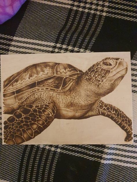 Aquatic turtle,wood burned  pyrography. Wood Burning Art Tiger, Wood Art Pyrography, Wood Burning Art Fishing, Pyrography Patterns Free Artwork, Wood Burning Animals, Animal Wood Burning, Pyrography Animals, Woodburning Crafts, Woodburning Art