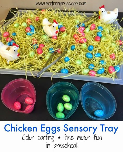 Fine motor and color sorting sensory tray with chicken eggs for toddlers and preschoolers from Modern Preschool Sensory Table Ideas, Preschool Farm, Farm Theme Preschool, Sensory Tray, Preschool Easter, Preschool Spring, Preschool Sensory, Farm Unit, Farm Preschool