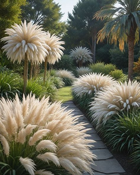 10 Best Ornamental Grasses For Landscaping Hay Scented Fern, Low Plants For Landscaping, Grasses For Landscaping, Tall Grass Landscaping, Grasses For Pots, Ornamental Grass Landscape, Ornamental Grass, Grasses Landscaping, Grasses Garden