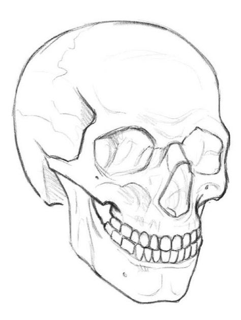 Simple Skull Drawing, Skull Side View, Draw A Skull, Art Messages, Simple Skull, Skull Sketch, Draw Realistic, Using Procreate, Skull Illustration