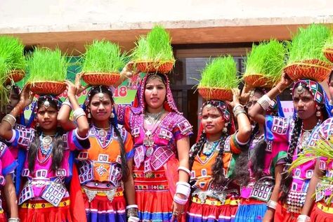 New Banjara teej status new Teej Status, Teej Festival, Birthday Background Images, Cute Love Wallpapers, Indian Culture, Hd Background, Birthday Background, Hd Backgrounds, Love Wallpaper