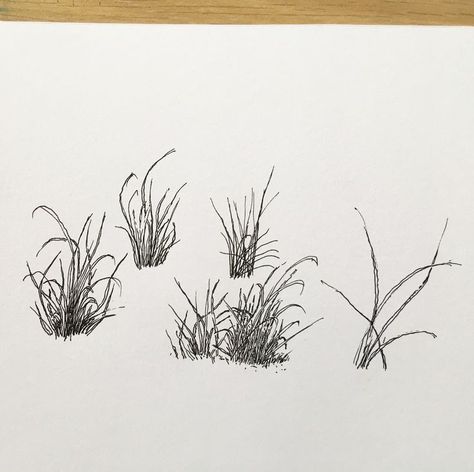 Grass Tutorial Drawing, Grass Tattoo Design, Grass Tattoo, Bush Drawing, Grass Drawing, Plant Sketches, Grass Painting, Whimsical Art Paintings, Perspective Drawing Lessons