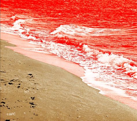 Red tide - algal bloom (large concentrations of aquatic microorganisms) are events in which estuarine, marine, or fresh water algae accumulate rapidly in the water column, resulting in coloration of the surface water. It is usually found in coastal areas Red Tide, Surface Water, Natural Phenomena, Fresh Water, Abstract Artwork, Like Button, Water, Pinterest Likes, Saying Goodbye