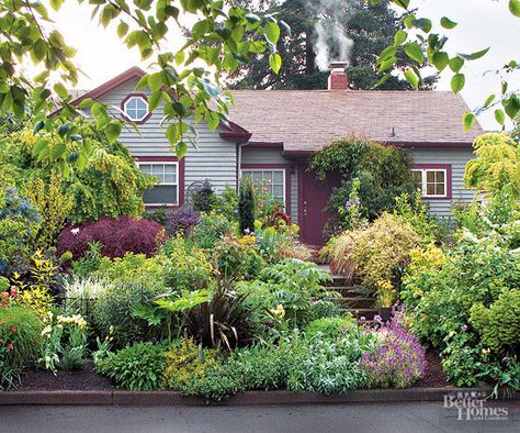 These shocking before and after photos of garden makeovers are almost too good to be true. Use these tips and tricks to landscape your yard and create your dream outdoor space. Ideas For Small Yards, Evergreen Landscape, Backyard Ideas For Small Yards, Small Yards, Front Gardens, Trees And Flowers, Small Front Yard Landscaping, Small Front Yard, Garden Wallpaper