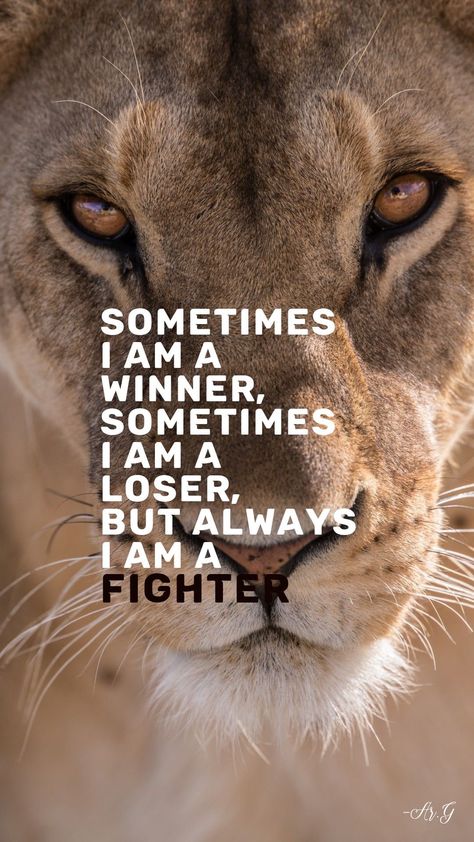 Strong Lion Quotes, Lions Dont Concern Themselves, Lion Quotes Inspiration Strong, Lion Quotes Inspirational, Lion Affirmations, Lion Quotes Inspiration Motivation, Strong Mentality Quotes, Lion Attitude Quotes, Van Gogh Tshirt