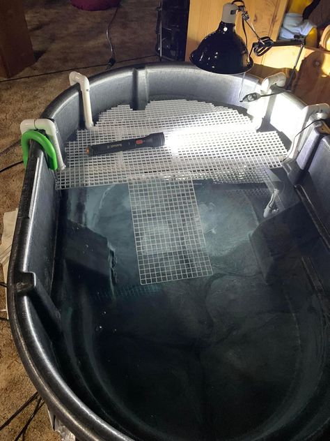 Rubbermaid Stock Tank, Turtle Dock, Diy Reptile, Turtle Terrarium, Turtle Stuff, Turtle Aquarium, Turtle Care, Tortoise Enclosure, Turtle Time