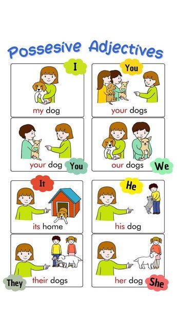 Possesive Adjective 's Worksheet, Teaching Materials English, English Learning Materials, Possessive Adjectives For Kids, Possessive Adjectives Worksheets, Adjectives For Kids, Adjectives In English, Adjectives Worksheet, Teaching Adjectives