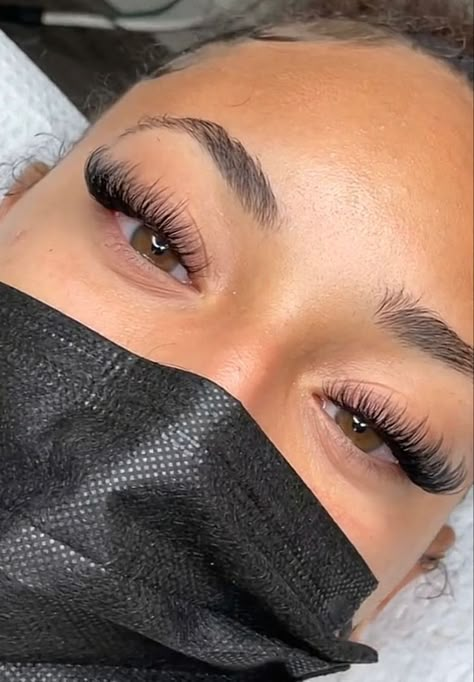 Babydoll Classic Lash Extensions, C Curl Volume Lash Extensions, Reverse Cat Eye Lash Extensions, Hybrid Lashes With Color, Cateye Eyelashes Extensions Natural, L Lash Extensions, Lash Extensions Hybrid Cat Eye, Full Cat Eye Lash Extensions, Lash Extensions Wet Set