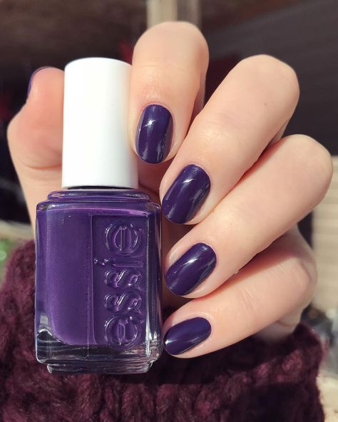 Kady F on Instagram: “Essie • ‘Hazy Daze’ • Wearing an intense pop of royal purple from the Desert Mirage collection while in my own lazy-daze on this frigid…” Essie Purple, Nail Painting Tips, Honey For Acne, Desert Mirage, Magic Purple, Painted Nails, Nail Colour, Purple Paint, Colour Ideas