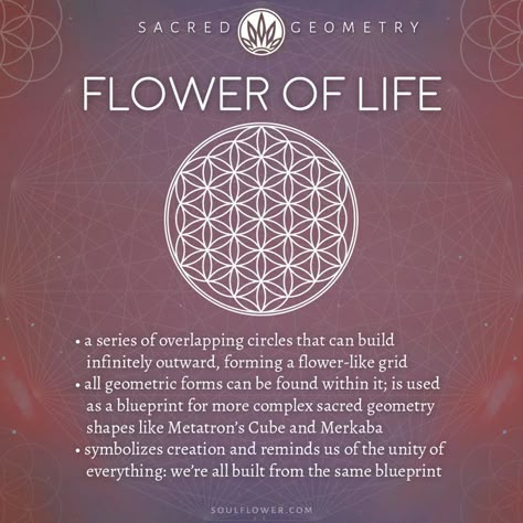 Flower Of Life Meaning, Sacred Geometry Meanings, Energy Motivation, Flower Of Life Tattoo, Sacred Geometry Clothing, Small Wave Tattoo, Flower Of Life Symbol, Geometry Symbols, Life Meaning