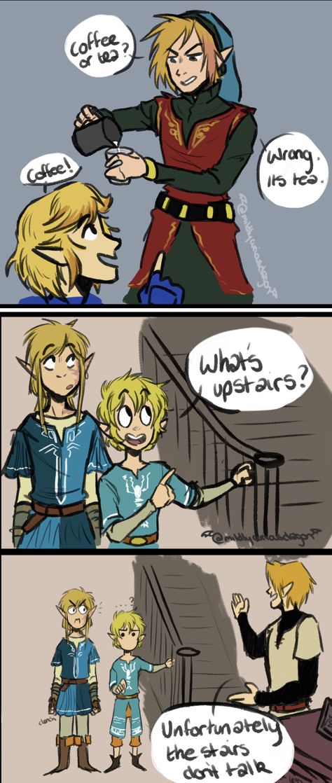 Legend Of Zelda Funny Comics, Botw Funny Comic, Linked Universe Funny, Legend Linked Universe, Link Headcanon, Linked Universe Four, Legend Of Zelda Funny, Botw Funny, Link X Link