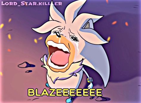 Silver The Hedgehog Memes, Silver From Sonic, Blaze X Silver, Sonic Silver Shadow, Blaze And Silver, Silver X Blaze, Silver The Hedgehog Fanart, Blaze Sonic, Silver And Blaze