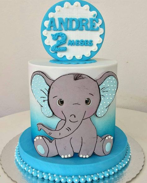 Elephant Cake Birthday, Elephant Birthday Cakes, Boy Baby Shower Cake, Boy Birthday Pictures, Elephant Birthday Party, Elephant Cake, Floral Birthday Invitations, Elephant Cakes, Baby Shower Cakes For Boys