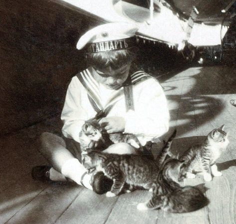 Extremely salty about ancient dead Kings — Zoom of Alexei on the Standart with some kittens. ... Tsarevich Alexei, Alexei Nikolaevich, Russian Royalty, Familia Romanov, Alexei Romanov, Dead King, Grand Duchess Olga, House Of Romanov, Alexandra Feodorovna