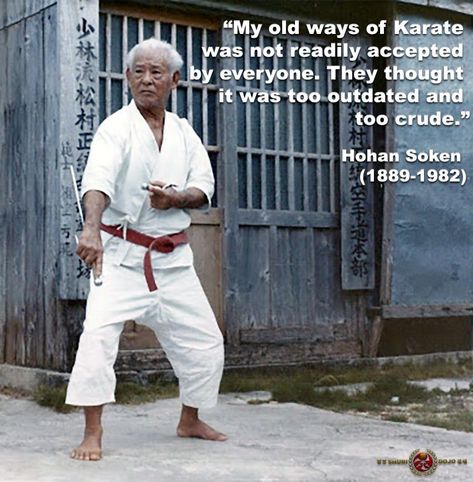 Shorin Ryu Karate, Wado Ryu Karate, Nerdy Workout, Warrior Culture, Okinawan Karate, Karate Quotes, Yoga Pics, Martial Arts Books, Cursed Things