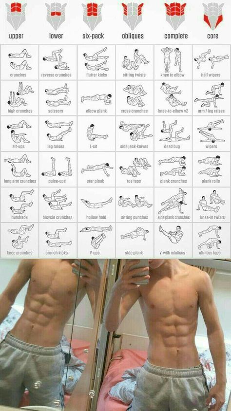 Free Weight Workout, Latihan Dada, Sixpack Workout, Trening Sztuk Walki, Gym Workout Planner, Beginner Workouts, Modele Fitness, Gym Abs, Gym Workout Chart