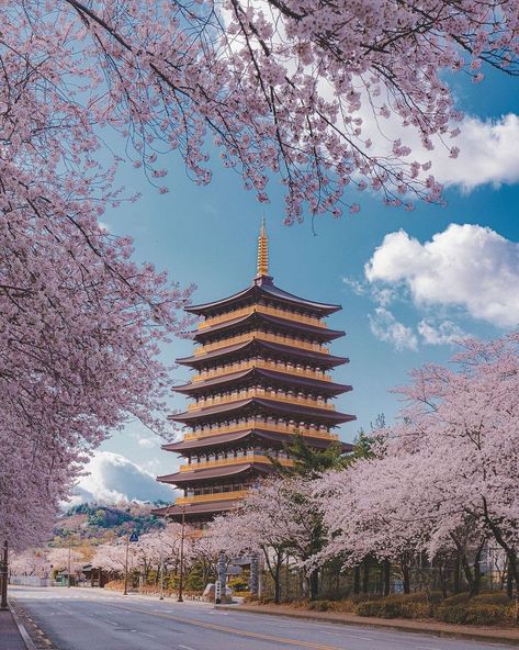 Seoul Travel Guide on Instagram: “Did you know that Hwangnyongsa Temple belongs to the Gyeongju Historic Areas, designated as a UNESCO World Heritage Site in 2000?😍 🏷Tag…” Korea Honeymoon, Korea Travel Outfit, Korea Travel Aesthetic, Aesthetic South Korea, Korea Bucket List, South Korea Culture, Seoul Travel Guide, Korea Travel Guide, 12 Week Year