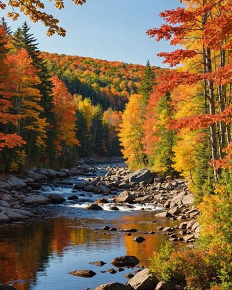 Ally | Cozy & Slow Living + Cottage/Farmhouse Style | 🍁🧡🍂❤️ Fall foliage 😍 👉Follow @katandblossom . . . . . #crunchyleaves #crunchyleavessweater #sweaterweather #fallvibes #fallfoliage… | Instagram Fall Scenic Pictures, Maine During Fall, East Coast In The Fall, Fall In Bar Harbor Maine, Maine Autumn Aesthetic, Maine Fall Foliage Road Trips, Maine Fall Aesthetic, Autumn In Maine, Maine Fall Vacation