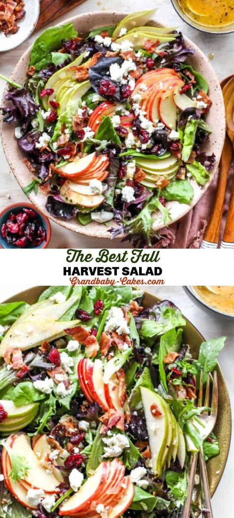 Fall Salad Apple, Cider Dressing, Salad Apple, Apple Cider Vinaigrette, Autumn Fruit, Dressing Salad, Autumn Salad Recipes, Cider Vinaigrette, Thanksgiving Salad