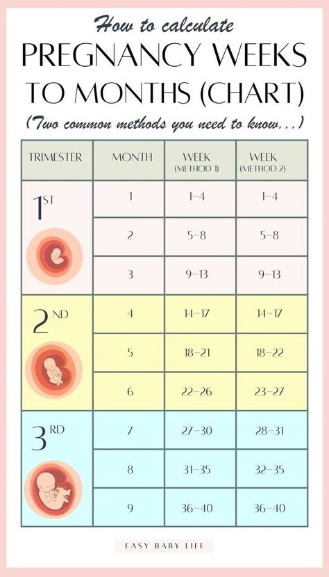 Finding how to calculate pregnancy weeks to months CONFUSING? Well, it is! Bookmark this super handy pregnancy weeks to months  chart with two common methods! The article also explains how to calculate the trimesters of pregnancy and due date. Perfect first pregnancy info for new moms!  (Also for mamas interested in pregnancy tips, pregnancy advice, pregnancy week by week, pregnancy stages, early pregnancy, pregnancy months, getting pregnant, pregnancy guide.) Pregnancy Weeks To Months, Weeks To Months Pregnant, Trimester Chart, Pregnancy Weeks, Week By Week Pregnancy, Conception Date, Pregnancy Chart, Baby Weeks, Pregnancy Timeline