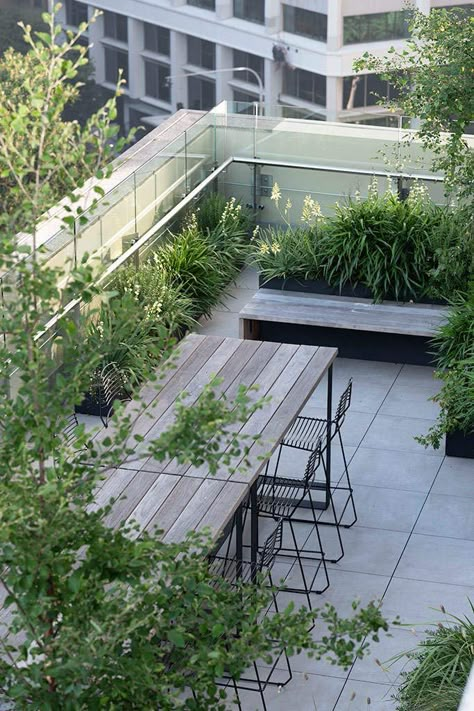 A wild garden in the sky Garden Extension, Urban Courtyards, Roof Garden Design, Rooftop Gardens, Roof Gardens, Rooftop Terrace Design, Rooftop Design, Level 8, Rooftop Lounge