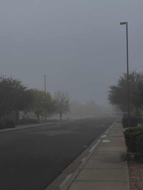 Foggy Morning Aesthetic, Foggy Street, Winter Mood Aesthetic, Aesthetic Fog, Foggy Aesthetic, Foggy Trees, Calming Photos, Dark Forest Aesthetic, Aesthetic Morning