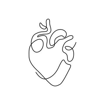 One Line Faces Drawing, One Line Anatomical Heart, Continuous Line Heart Tattoo, One Continuous Line Tattoo, Heart Lines Tattoo, Simple Love Heart Tattoo, Word Heart Tattoo, Anatomical Heart Line Art, Fine Line Face Drawing