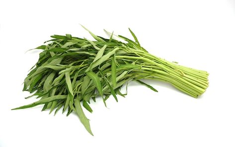 Pile of chinese morning glory isolated o... | Premium Photo #Freepik #photo #spinach #food-leaf #water-spinach #fresh-food Sayur Kangkung, Background Water, Water Spinach, Morning Glory, A White Background, Fruits And Vegetables, Green Beans, Spinach, White Background