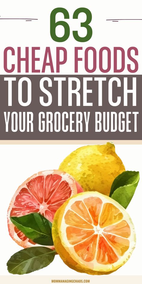 Learn how to create a grocery list that keeps you on budget and saves money each time you shop. With these practical tips, you'll plan meals efficiently, avoid overspending, and reduce food waste while sticking to your financial goals. Perfect for families looking to manage their grocery expenses.   Cheap Grocery List - Cheap Groceries - Cheap Healthy - Cheap Healthy Meals -  Frugal Living _ Thrifty Living  - Living Cheap How To Grocery Shop On A Budget Families, Healthy Groceries On A Budget, Basic Shopping List Food, How To Buy Groceries On A Budget, Groceries On A Budget For 4, Beginner Grocery List, Bulk Grocery Shopping, Diet Grocery List Budget, Food Shopping On A Budget