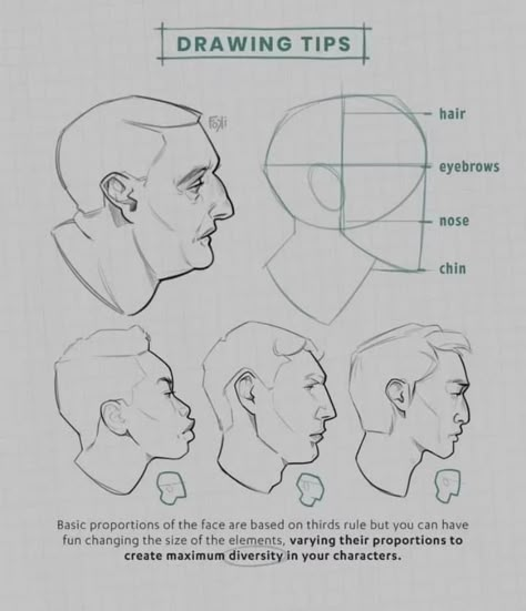 Draw Heads, Drawing Portraits, 얼굴 드로잉, Anatomy Tutorial, Art Advice, Human Anatomy Art, Anatomy For Artists, Art Help, Anatomy Drawing