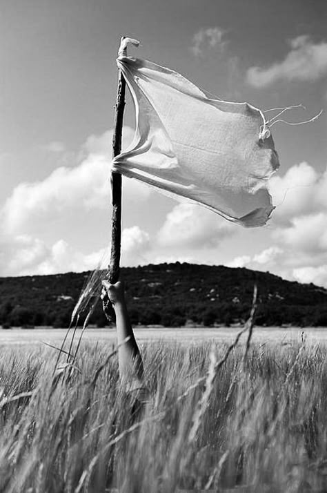 I Surrender, White Flag, Hetalia, Black And White Photography, White Photography, Taylor Swift, Swift, A Black, Flag